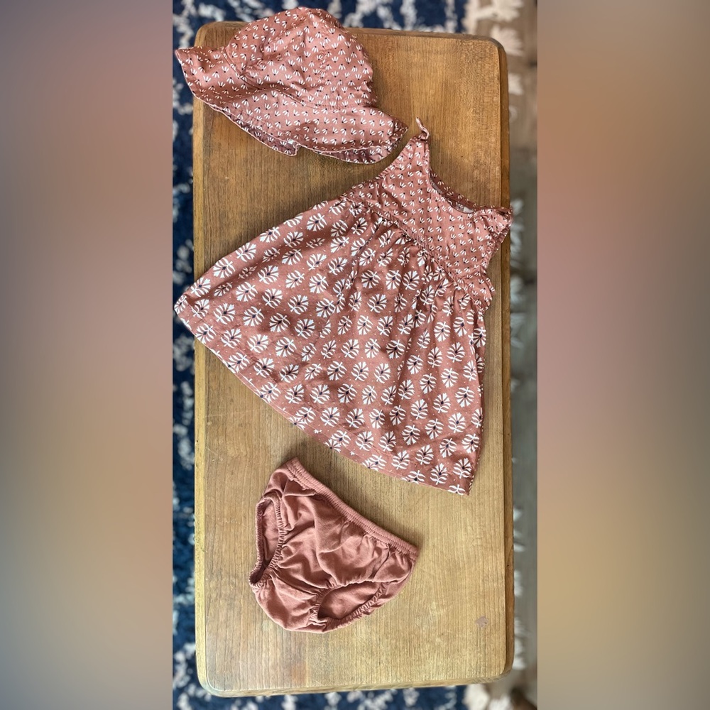 Carter's Brown Floral Baby Dress